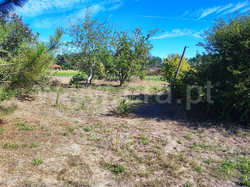 Moradia T3 à venda em Pelichos, Montemor-o-Velho — foto 9