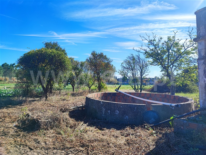 Moradia T3 à venda em Pelichos, Montemor-o-Velho — foto 10