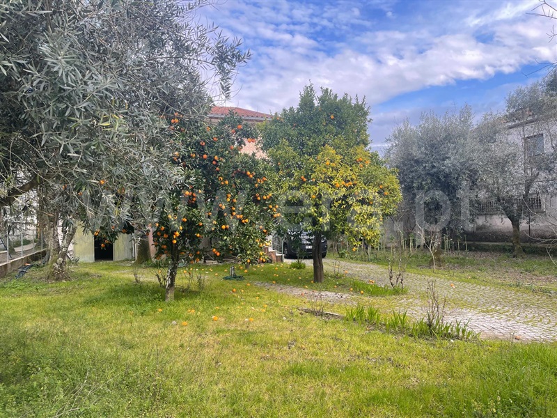Moradia Isolada T3 com Quintal Nelas, Lapa do Lobo - 1491220 - 1