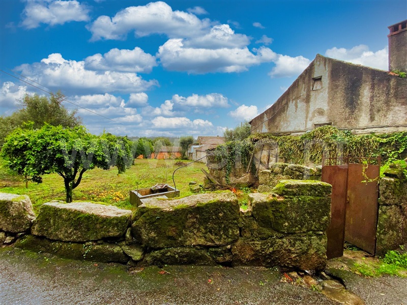 Moradia Isolada T3 Nelas, Santar e Moreira - 1363977 - 3