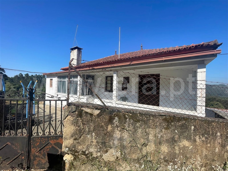 Andar Moradia T3 Oliveira de Azeméis, Pinheiro da Bemposta, Travanca e Palmaz - 1492730 - 8