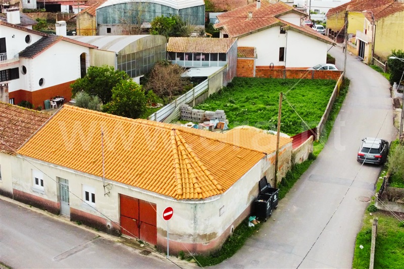 Moradia Isolada T3 / Oliveira do Bairro, Silveiro