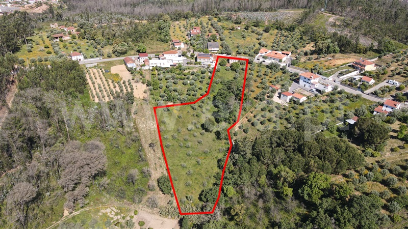 Moradia T3 à venda em Gondemaria e Olival, Ourém — foto 2