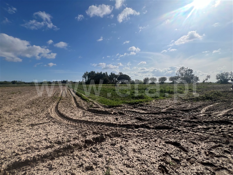 Moradia T3 à venda em Pinhal Novo, Palmela — foto 10