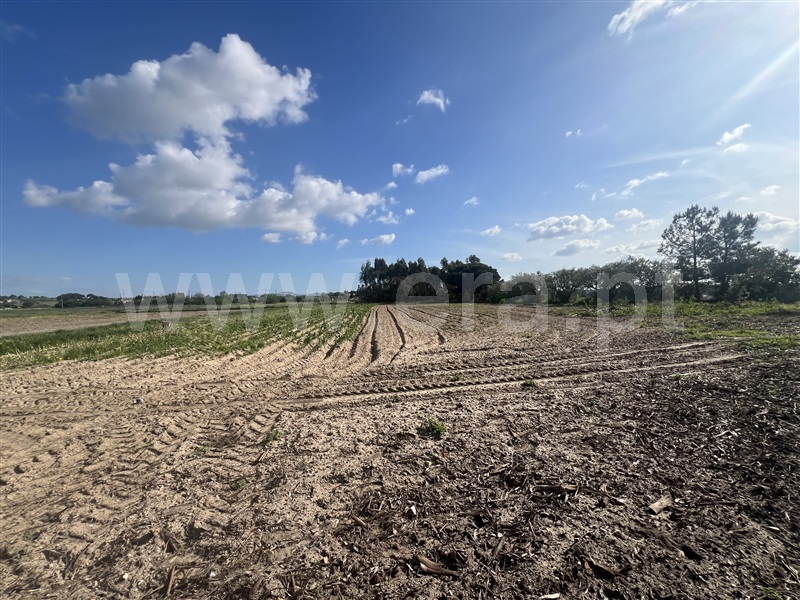 Moradia T3 à venda em Pinhal Novo, Palmela — foto 11