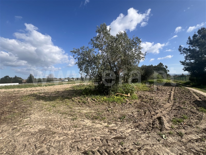 Moradia T3 à venda em Pinhal Novo, Palmela — foto 12