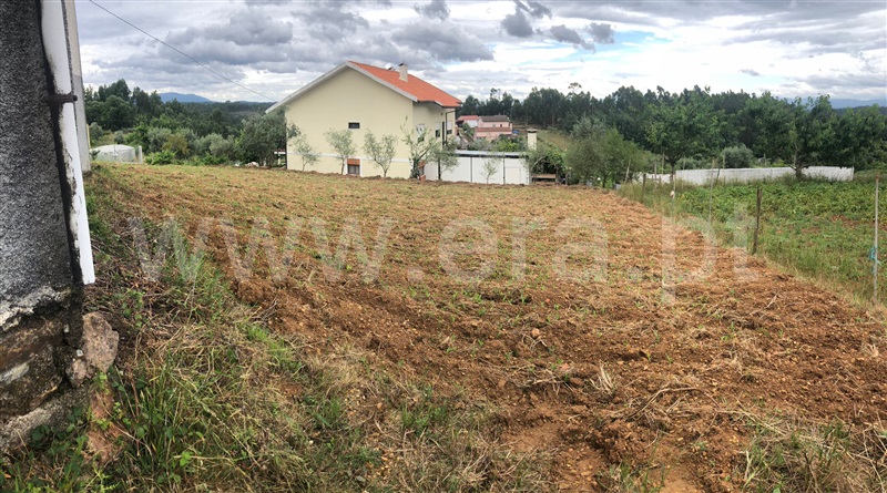 Moradia Isolada T3 Penacova, Carvalho - 1334255 - 12