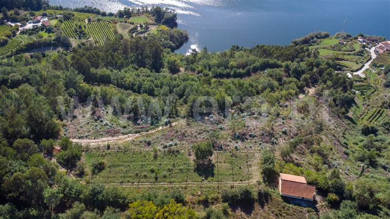 Moradia T3 à venda em Rio de Moinhos, Penafiel — foto 9