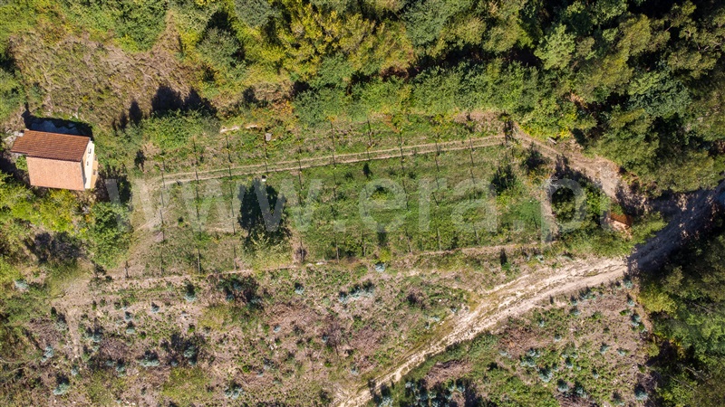 Moradia T3 à venda em Rio de Moinhos, Penafiel — foto 10