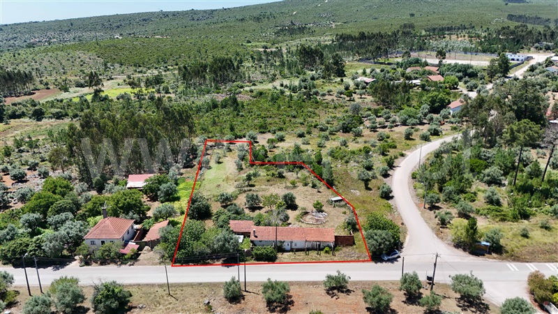 Moradia Isolada T3 Pombal, Abiul - 1421692 - 4