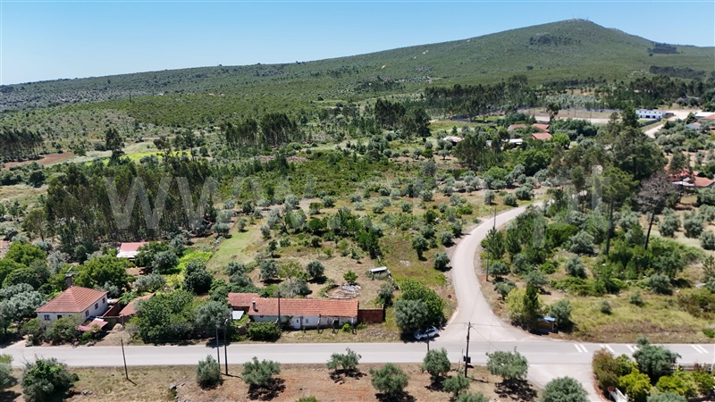 Moradia Isolada T3 Pombal, Abiul - 1421692 - 10