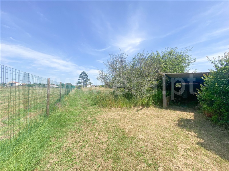 Moradia Isolada T3 Pombal, Louriçal - 1410632 - 18