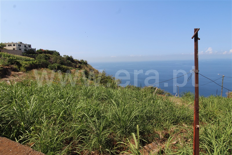 Moradia Isolada T3 Ponta do Sol, Canhas - 1332163 - 12