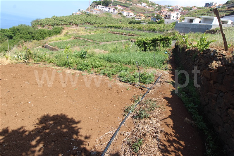 Moradia Isolada T3 Ponta do Sol, Canhas - 1332163 - 21