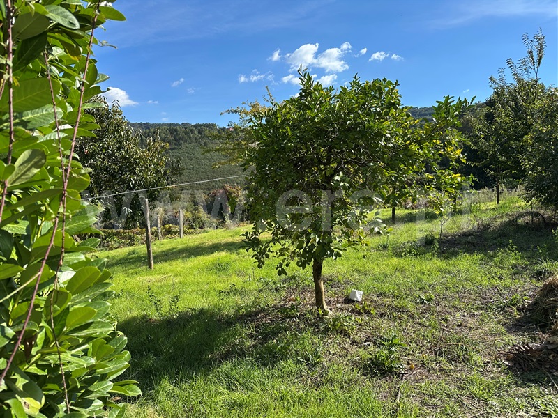 Moradia Isolada T3 com Piscina Ponte de Lima, Beiral do Lima - 1506344 - 7