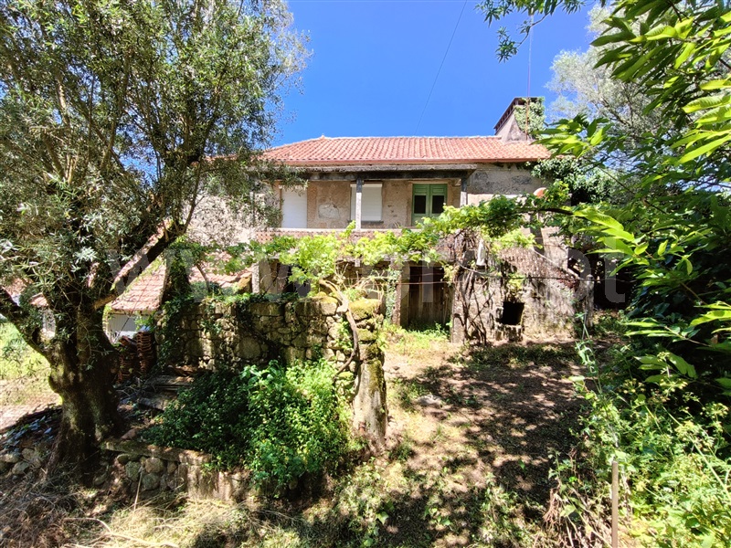 Moradia Isolada T3 Ponte de Lima, Navió e Vitorino dos Piães - 1414797 - 9