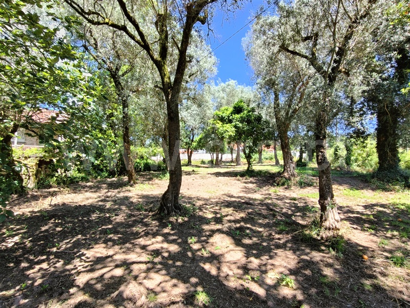 Moradia Isolada T3 Ponte de Lima, Navió e Vitorino dos Piães - 1414797 - 10