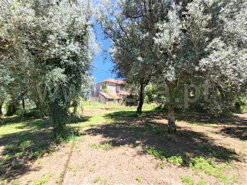 Moradia Isolada T3 Ponte de Lima, Navió e Vitorino dos Piães - 1414797 - 11
