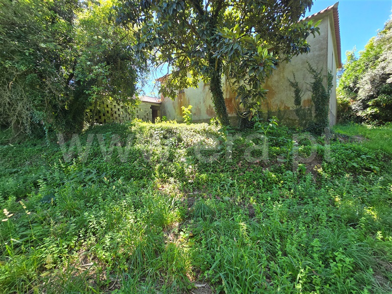 Moradia Isolada T3 Ponte de Lima, Rebordões (Souto) - 1321511 - 7