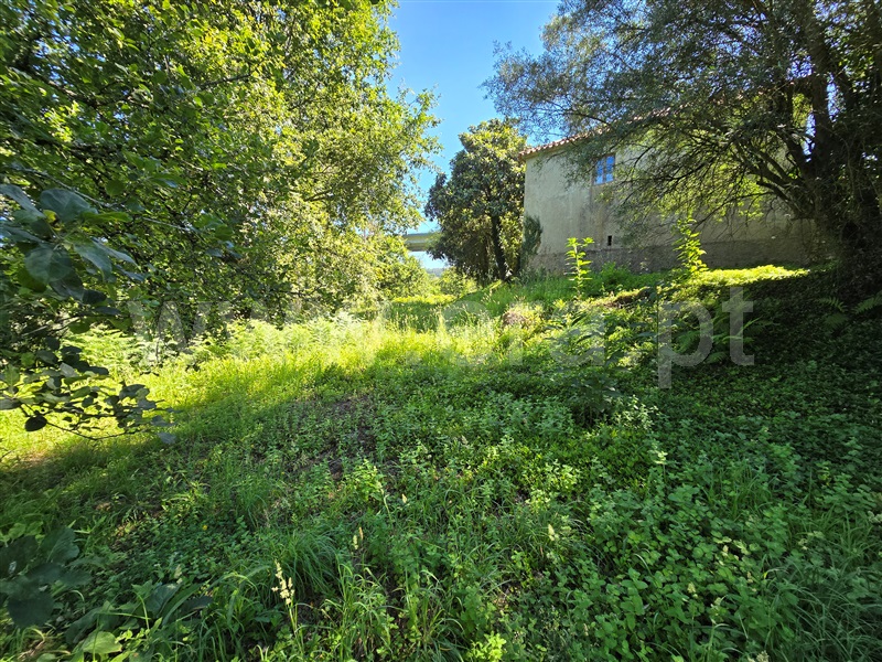 Moradia Isolada T3 Ponte de Lima, Rebordões (Souto) - 1321511 - 8