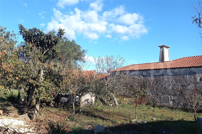 Moradia Isolada T3 Ponte de Lima, Vilar das Almas - 1438871 - 3