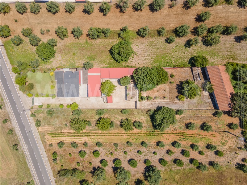 Moradia Isolada T3 Rio Maior, Asseiceira - 1414148 - 13