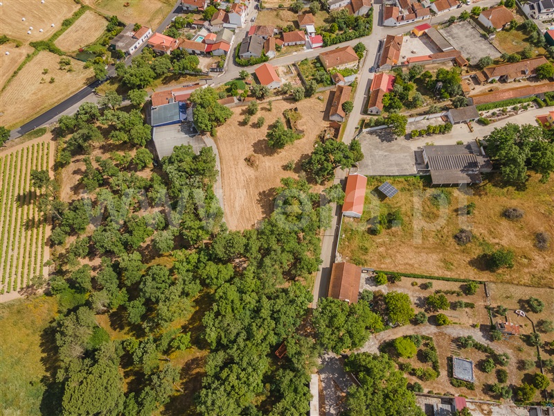Moradia Isolada T3 Rio Maior, Correias - 1398941 - 6