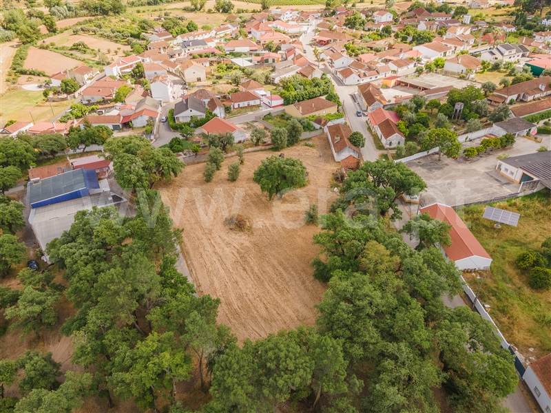 Moradia Isolada T3 Rio Maior, Correias - 1398941 - 7