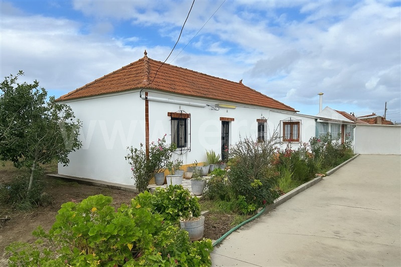 Moradia Isolada T3 / Salvaterra de Magos, Salvaterra de Magos e Foros de Salvaterra