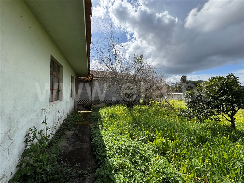 Moradia Isolada T3 Santa Maria da Feira, São Paio de Oleiros - 1470118 - 12