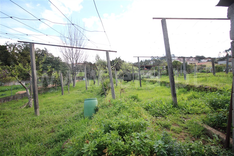 Moradia Isolada T3 Santo Tirso, Reguenga - 1479356 - 6