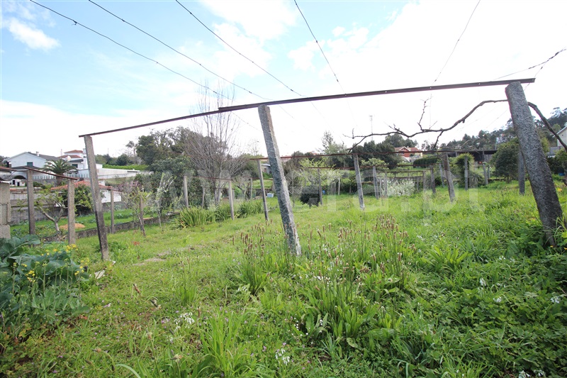 Moradia Isolada T3 Santo Tirso, Reguenga - 1479356 - 7