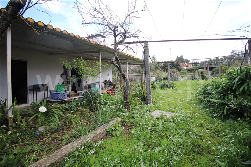 Moradia Isolada T3 Santo Tirso, Reguenga - 1479356 - 8
