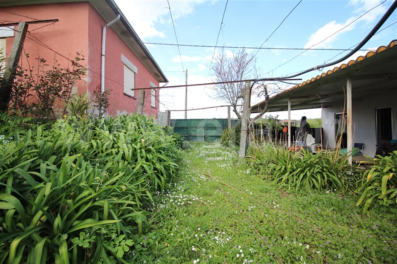 Moradia Isolada T3 Santo Tirso, Reguenga - 1479356 - 10