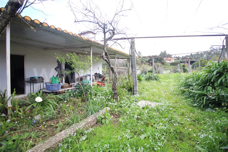 Moradia Isolada T3 Santo Tirso, Reguenga - 1479356 - 11