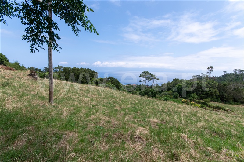 Moradia T3 à venda em Prainha, São Roque do Pico — foto 15