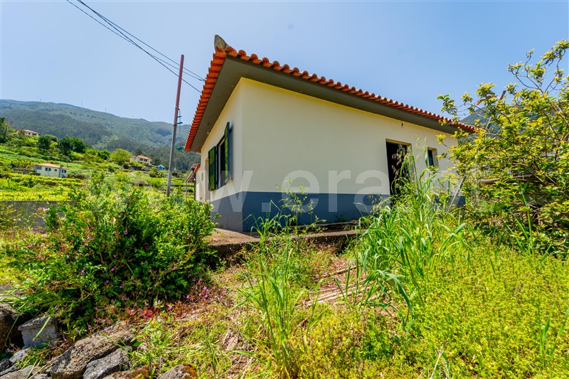 Moradia Isolada T3 São Vicente - 1481576 - 4