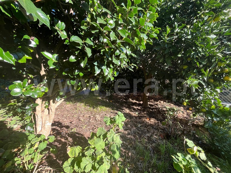 Moradia Isolada T3 Seia, Alvoco da Serra - 1444165 - 19
