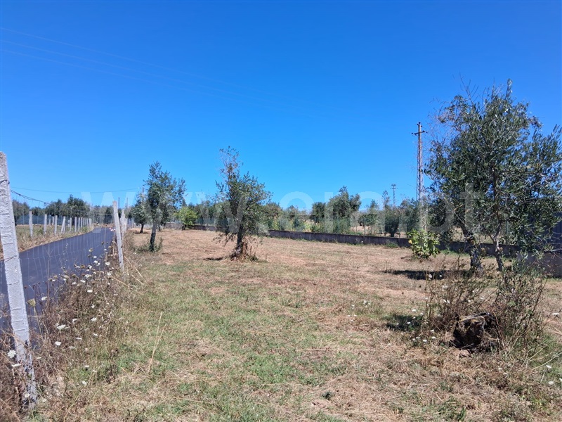 Moradia Isolada T3 Seia, Tourais - 1490466 - 19