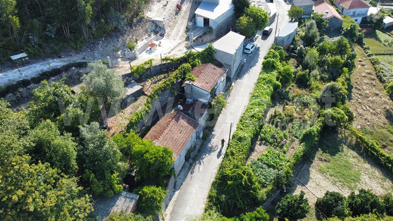 Moradia Isolada T3 com Terreno Sever do Vouga, Silva Escura e Dornelas - 1266835 - 31