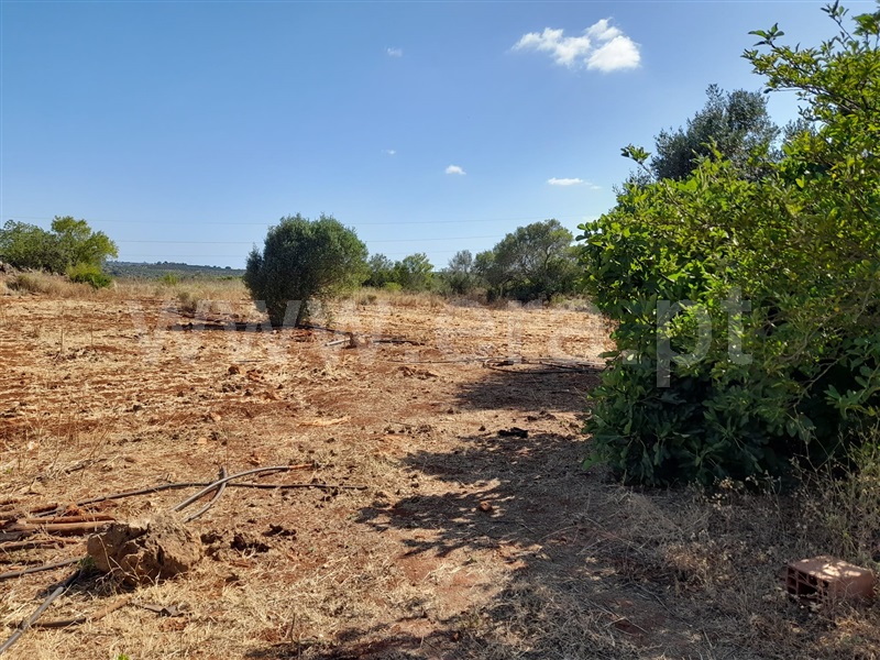 Moradia Isolada T3 Silves, Algoz - 1287937 - 18