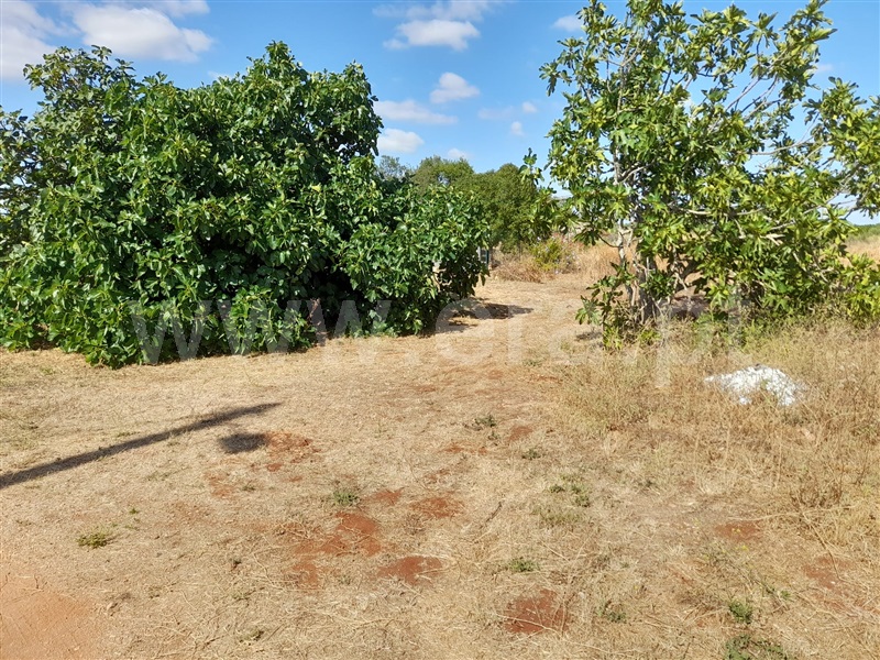 Moradia Isolada T3 Silves, Algoz - 1287937 - 26