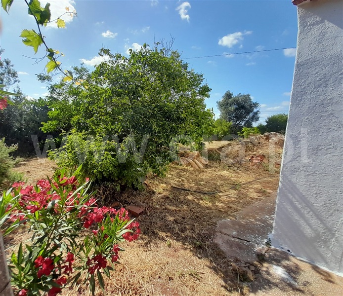 Moradia Isolada T3 Silves, Algoz - 1287937 - 26