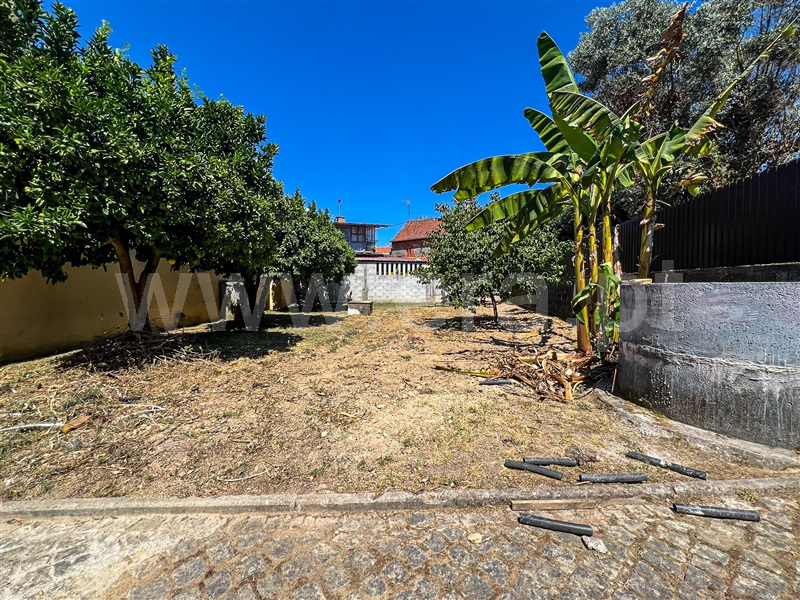 Moradia Isolada T3 com Anexo Tábua, Vila do Mato - 1488242 - 19