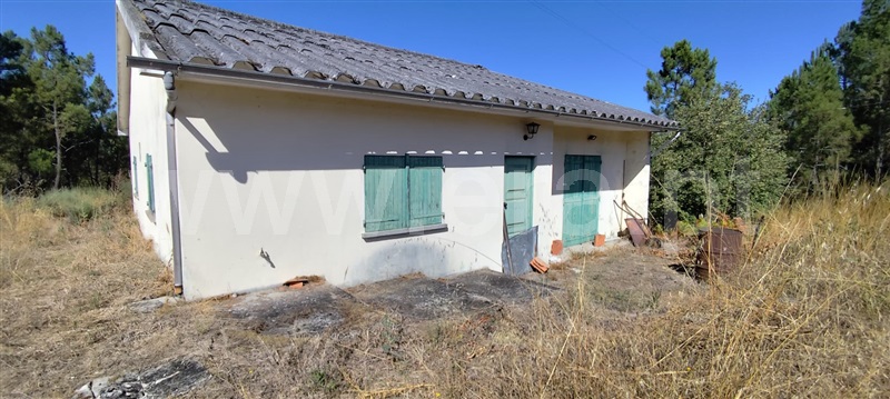 Moradia Isolada T3 Tarouca, Mondim da Beira - 1430722 - 3