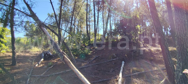 Moradia Isolada T3 Tarouca, Mondim da Beira - 1430722 - 21