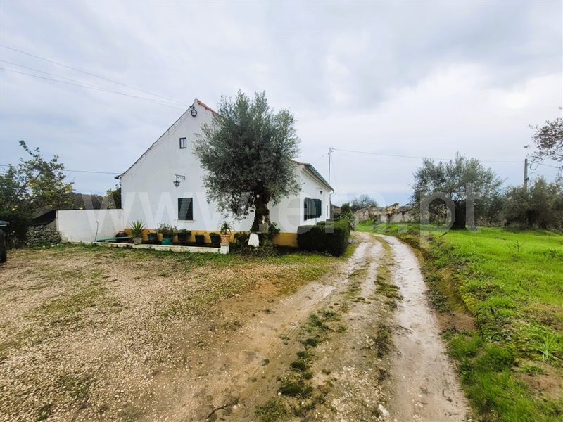 Moradia Isolada T4 Tomar, Madalena e Beselga - 1376999 - 8