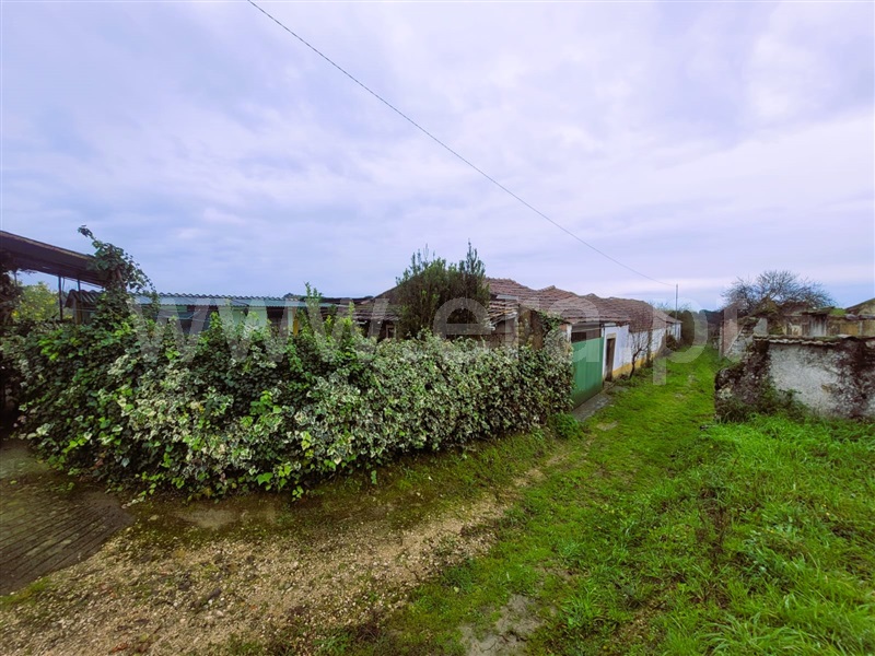Moradia Isolada T4 Tomar, Madalena e Beselga - 1376999 - 11
