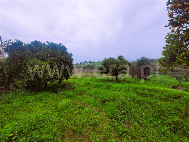 Moradia Isolada T4 Tomar, Madalena e Beselga - 1376999 - 12