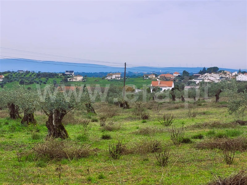 Moradia Isolada T4 Tomar, Madalena e Beselga - 1376999 - 13